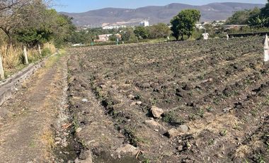Terreno en Venta en Calle de Los Reyes Temixco, Morelos