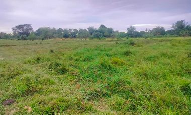 Lot for sale 11,000 sqm second lot from highway Ubay Bohol Philippines 5,000,000 negotiable