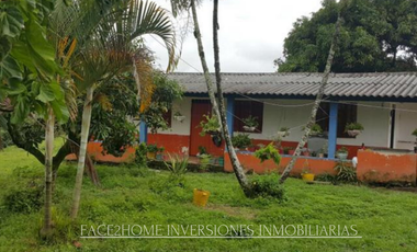 FINCA EN VENTA PRODUCCIÓN   AGUACATERA SANTA ROSA DE CABAL
