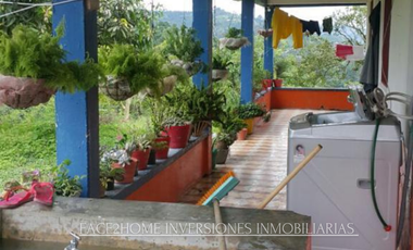 FINCA EN VENTA PRODUCCIÓN   AGUACATERA SANTA ROSA DE CABAL