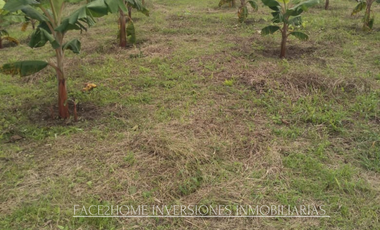 FINCA EN VENTA PRODUCCIÓN   AGUACATERA SANTA ROSA DE CABAL