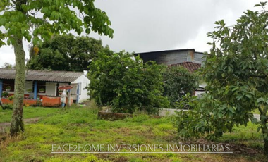 FINCA EN VENTA PRODUCCIÓN   AGUACATERA SANTA ROSA DE CABAL