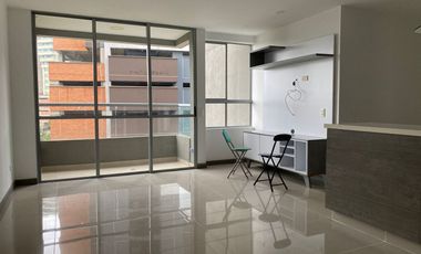 88979 Apartamento en arriendo en el sector Camino Verde