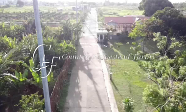 For Sale Residential Lot in Mendez Cavite Country Homestead Farms Metro Tagaytay