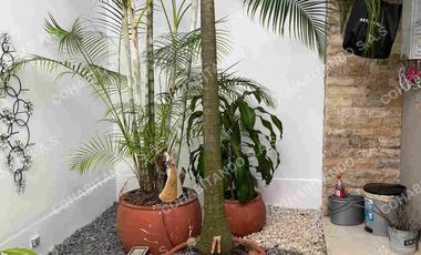 CASA EN VENTA LOS CEDROS PAN DE AZÚCAR