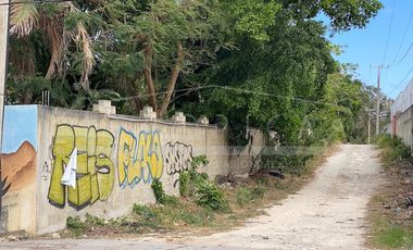 NUEVO PRECIO Terrenos Puerto Morelos