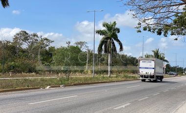 NUEVO PRECIO Terrenos Puerto Morelos