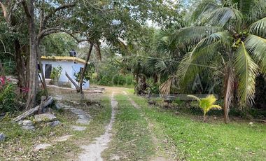 NUEVO PRECIO Terrenos Puerto Morelos