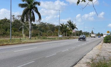 NUEVO PRECIO Terrenos Puerto Morelos