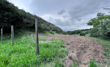 Terreno en venta en San Pedro de la Bendita