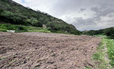 Terreno en venta en San Pedro de la Bendita