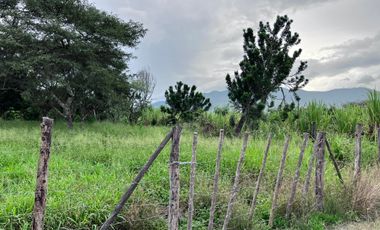 Terreno en venta en San Pedro de la Bendita