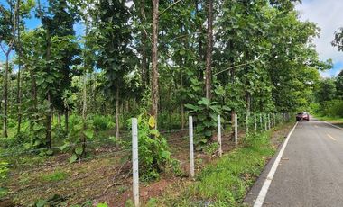 Beautiful 5 Rai 70 Sq.wah for sale in Mae On