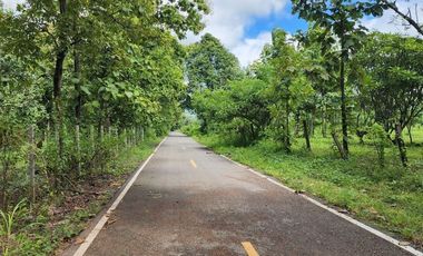 Beautiful 5 Rai 70 Sq.wah for sale in Mae On