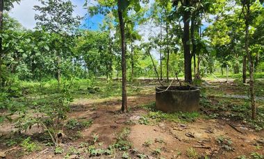 Beautiful 5 Rai 70 Sq.wah for sale in Mae On