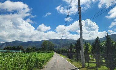 Beautiful 5 Rai 70 Sq.wah for sale in Mae On