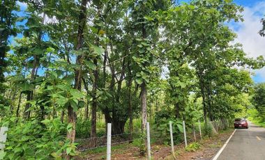 Beautiful 5 Rai 70 Sq.wah for sale in Mae On
