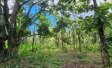 Beautiful 5 Rai 70 Sq.wah for sale in Mae On