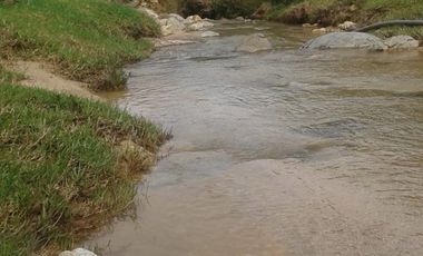 Venta Finca Ganadera Santo Domingo Antioquia