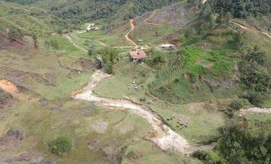 Venta Finca Ganadera Santo Domingo Antioquia