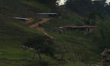 Venta Finca Ganadera Santo Domingo Antioquia