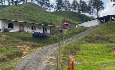 Venta Finca Ganadera Santo Domingo Antioquia