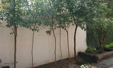 Rento casa en La Republica a 4 cuadras de Lazaro Cardenas, Monterrey