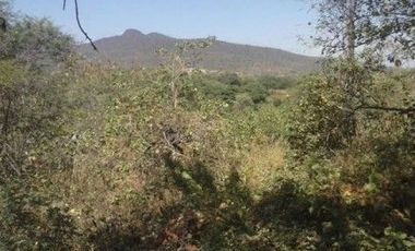 Terrenos en Chulucanas Grandes en Venta