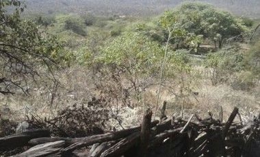 Terrenos en Chulucanas Grandes en Venta