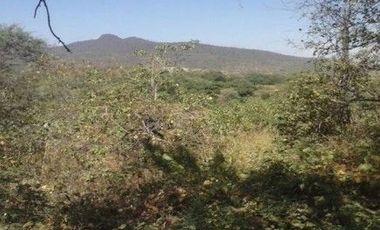 Terrenos en Chulucanas Grandes en Venta