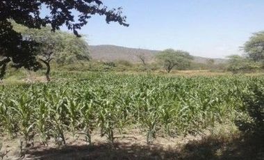 Terrenos en Chulucanas Grandes en Venta