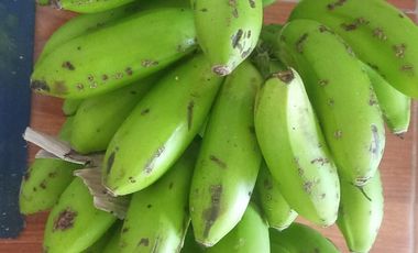 26,000 M2  en San Pedro de Cumbaza