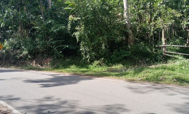 26,000 M2  en San Pedro de Cumbaza