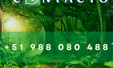 26,000 M2  en San Pedro de Cumbaza