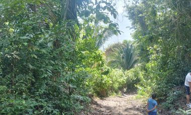 26,000 M2  en San Pedro de Cumbaza