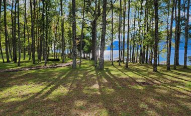 Exclusiva Parcela de 5000m2 en condominio con acceso al Lago Colico