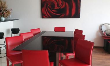 Departamento Amueblado En Renta En Vía Dorada Pachuca Hgo