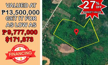 107,366 sqm Large Parcel of Land for Food Forest in Roxas