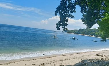 White Sand Beachline Lot at Samal Island Davao del Norte