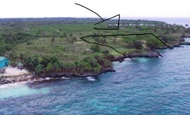 Beach Lot for sale in Moalboal, Cebu , 1.86 hectares