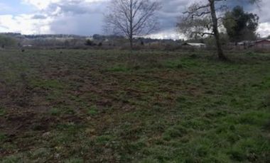 PARCELA 2 HECTÁREAS, SECTOR COINCO CERCANO A PUERTO NUEVO