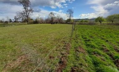 PARCELA 2 HECTÁREAS, SECTOR COINCO CERCANO A PUERTO NUEVO