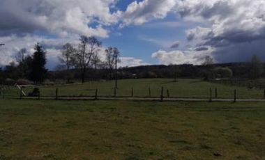 PARCELA 2 HECTÁREAS, SECTOR COINCO CERCANO A PUERTO NUEVO