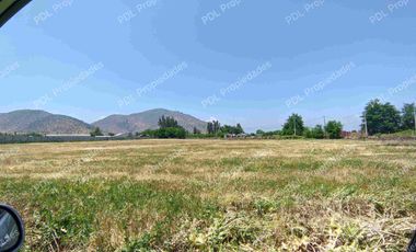 Últimas parcelas en Chancón 5000 mts2