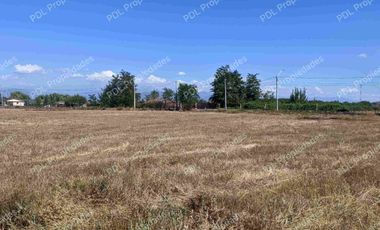 Últimas parcelas en Chancón 5000 mts2