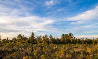 Parcelas Condominio Camino Las Lomas