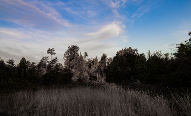 Parcelas Condominio Camino Las Lomas