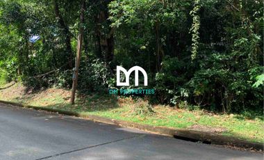 For Sale: Vacant Lot in Fairmount Hills Subdivision, Antipolo City