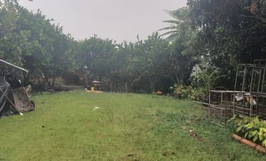 Vendo  Finca de  3.5 Hectáreas en Puerto Quito
