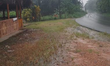Vendo  Finca de  3.5 Hectáreas en Puerto Quito